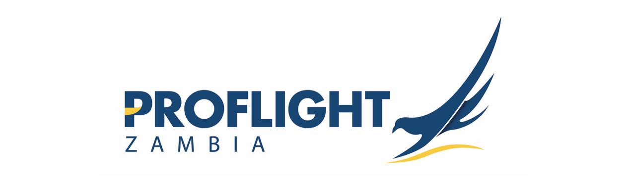 ProFlight Logo